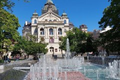 fontana2